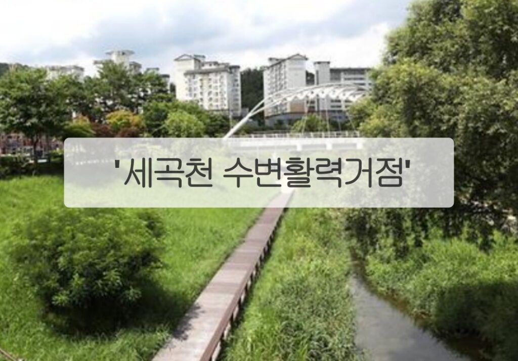 세곡천 수변활력거점 1